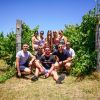 bunker bay wine tours